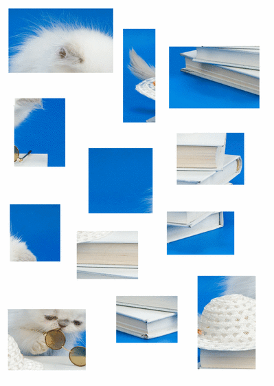 Puzzle petit chaton blanc